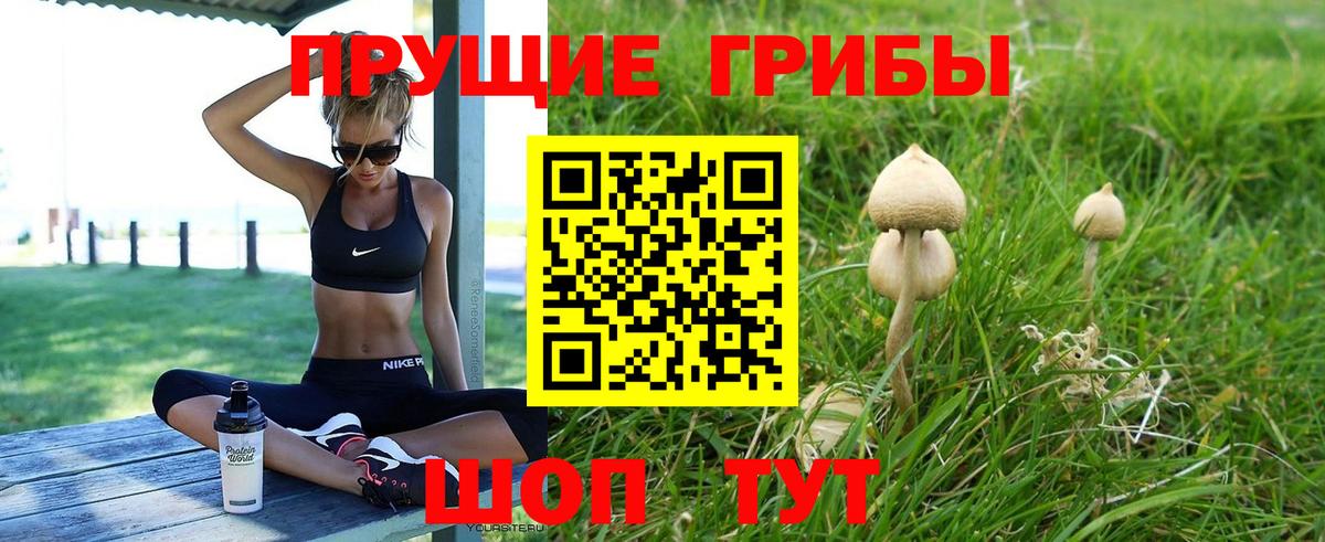 Галлюциногенные грибы ЛСД  закладка  Сальск  Вход с VPN 