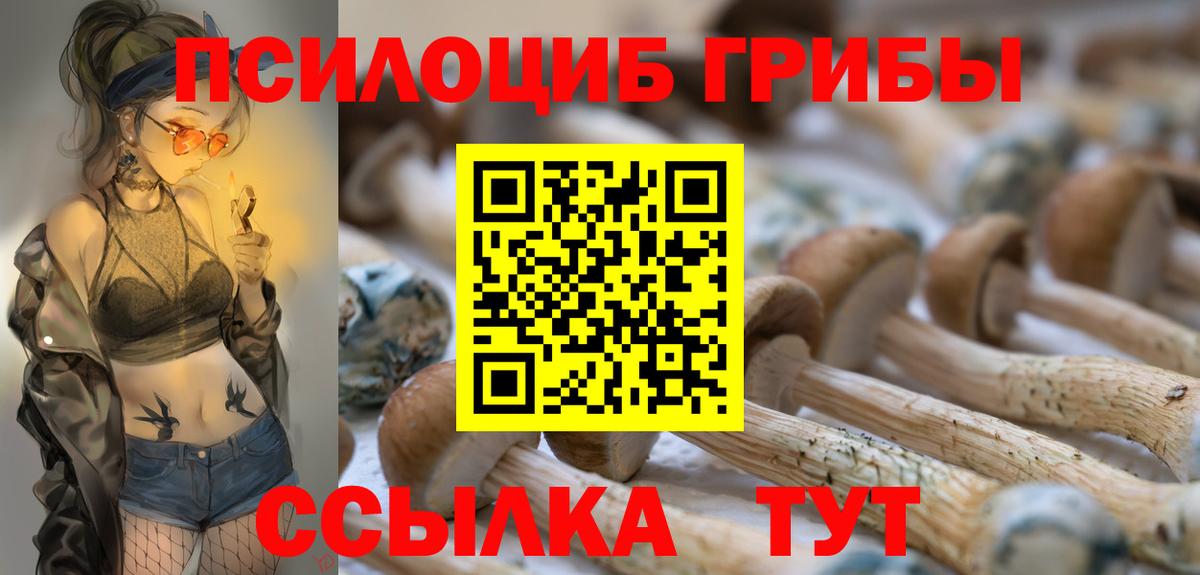 Галлюциногенные грибы GOLDEN TEACHER Сальск